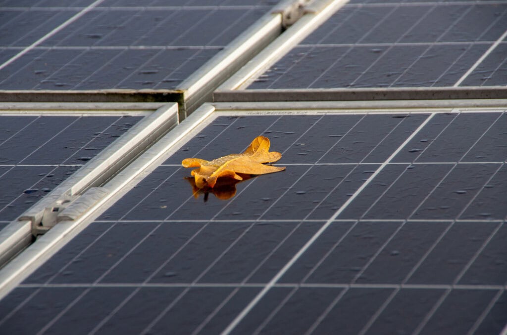 Solar Panels after a Rain _Virginia