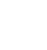 Level 1 Charging Icon