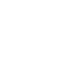 Level 2 Charging Icon